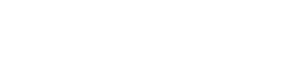 DOR KOREN logo