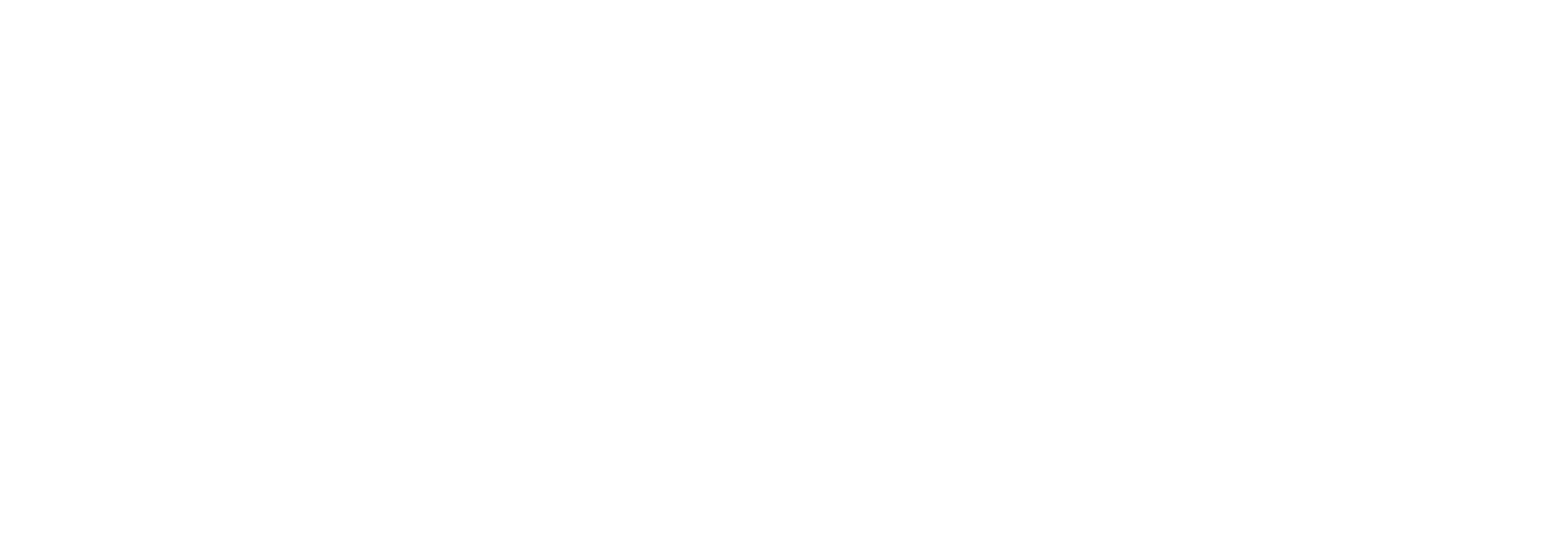 ICARUS BURNS logo